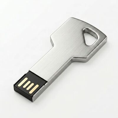 এনক্রিপশন সক্ষম জিঙ্ক অ্যালয় কী USB ফ্ল্যাশ ড্রাইভ কাস্টম ডিজাইন স্বাগত টেকসই নিরাপদ স্টোরেজ ডিভাইস ব্যবসার জন্য আদর্শ