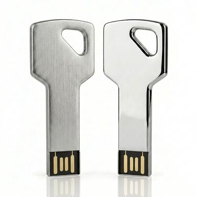 এনক্রিপশন সক্ষম জিঙ্ক অ্যালয় কী USB ফ্ল্যাশ ড্রাইভ কাস্টম ডিজাইন স্বাগত টেকসই নিরাপদ স্টোরেজ ডিভাইস ব্যবসার জন্য আদর্শ