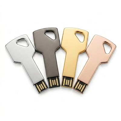 এনক্রিপশন সক্ষম জিঙ্ক অ্যালয় কী USB ফ্ল্যাশ ড্রাইভ কাস্টম ডিজাইন স্বাগত টেকসই নিরাপদ স্টোরেজ ডিভাইস ব্যবসার জন্য আদর্শ