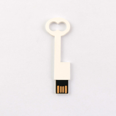 কনফর্ম ইউরোপ স্ট্যান্ডার্ড প্লাস্টিক কী USB ফ্ল্যাশ ড্রাইভ 2.0 64GB 128GB 50MB/S